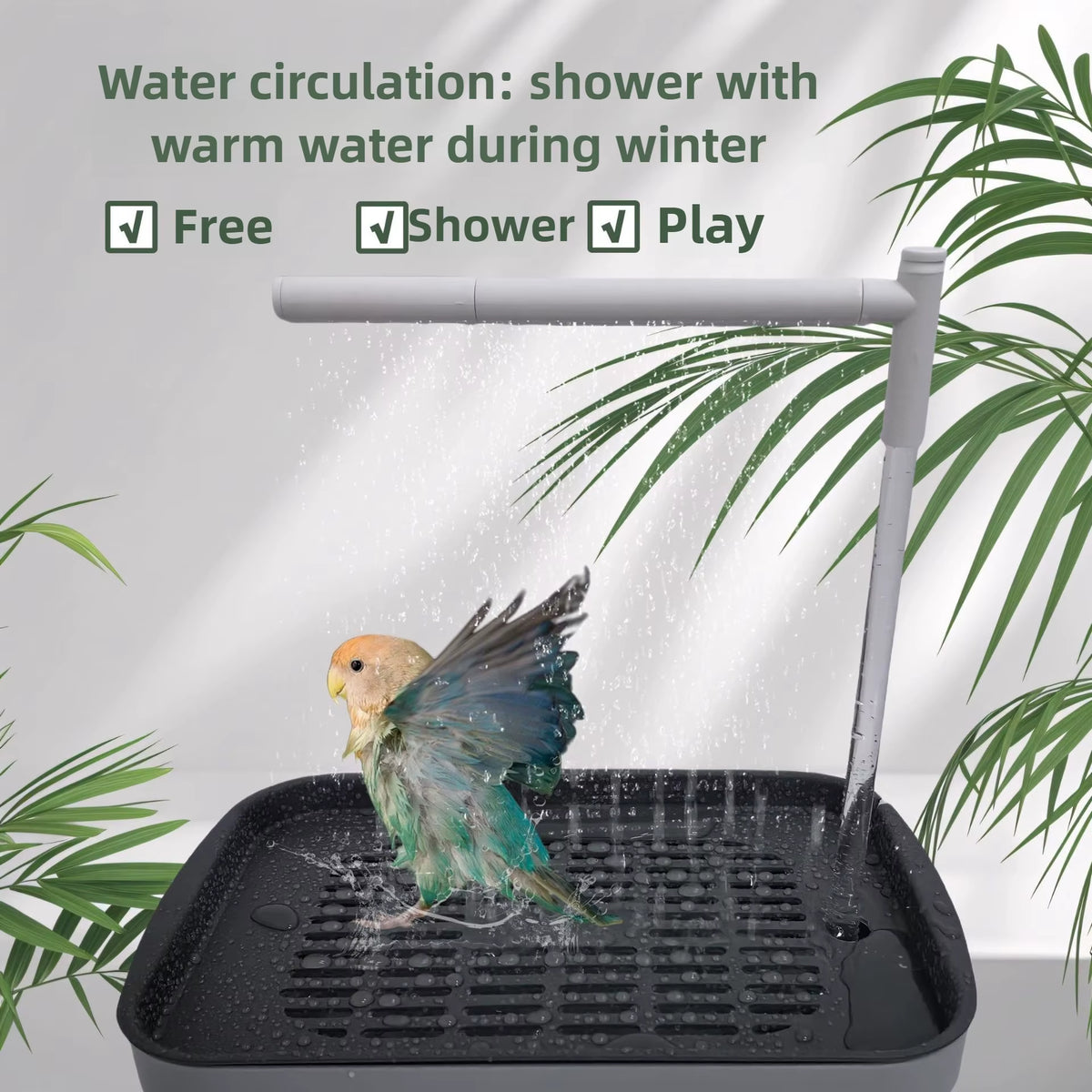 Automatic Bird Bath for Parrots