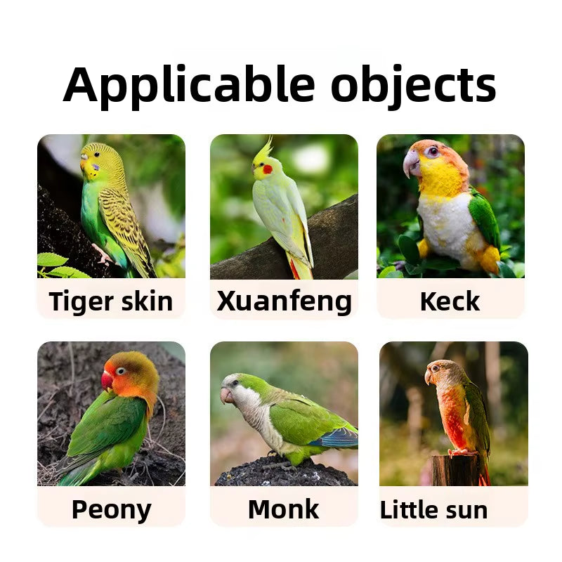 Automatic Bird Bath for Parrots