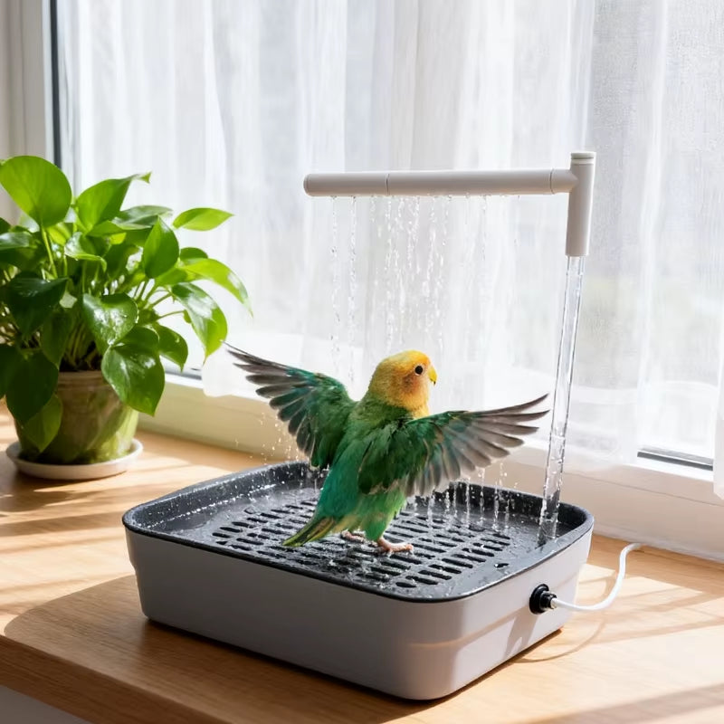 Automatic Bird Bath for Parrots